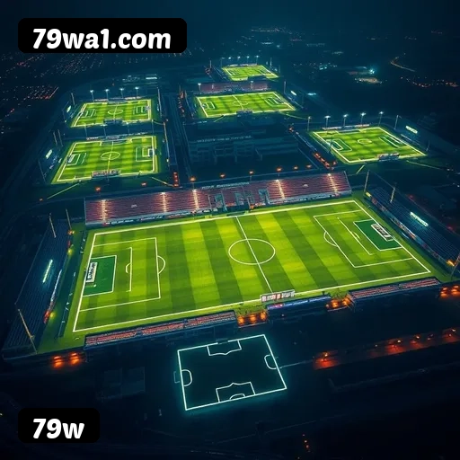 Níveis do programa VIP da 79w